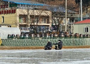 썰매 체험하는 관광객