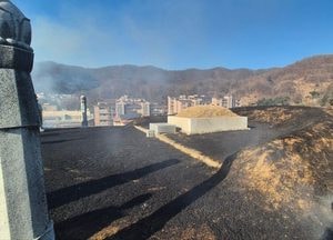 광주 중대동 묘지 화재…31분 만에 진화