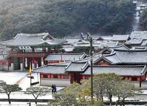 [기획] 수원, 설 명절 연휴 내내 심심할 틈이 없다...화성행궁·자연명소·수목원 즐길거리 풍성