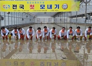 이천서 ‘전국 첫 모내기’…임금님표 이천쌀 본격 출발