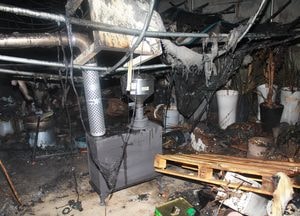 화성 마도면 비닐하우스 화재…1동 전소, 인명피해 없어