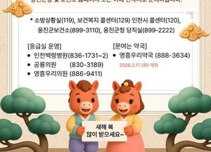설 연휴 5일간 응급진료체계 가동하는 옹진군…도서지역 24시간 비상