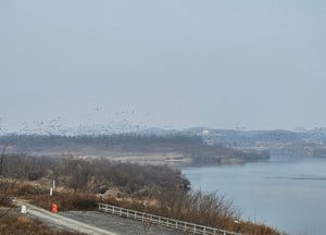[오늘 날씨] 경기·인천(13일, 금)…흐린 가운데 곳곳 빗방울