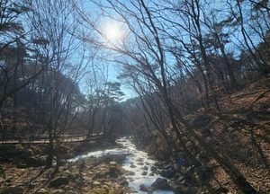 꽁꽁 언 '우수' 앞둔 용문사 계곡