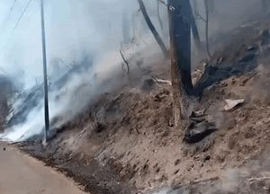 [영상] 용인 처인구 야산서 불...1시간여 만에 완진