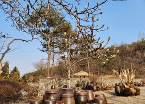 [오늘 날씨] 경기·인천(21일, 토)…낮 19도 ‘포근’ 일교차 커