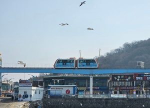 [내일 날씨] 새벽 비 그친 뒤 강풍…모레 아침 영하권