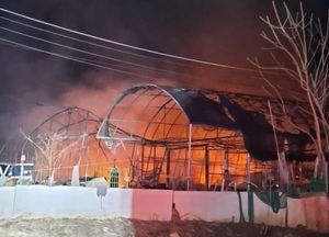 광명 노온사동 비닐하우스 불, 산으로 확산…80대 1명 경상