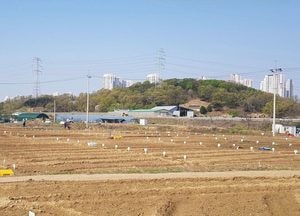 남양주시 ‘2026년 정약용 도시텃밭’ 분양...도심 속 치유 공간 마련