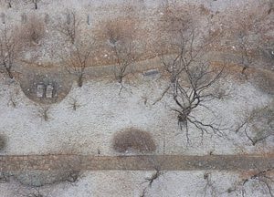 겨울과 봄의 경계 보여주는 '춘설'