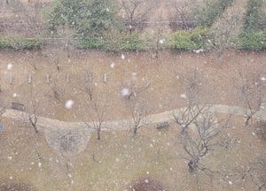 [내일 날씨] 아침 영하권…낮 15℃ 안팎 큰 일교차