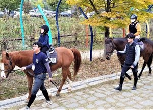 여주시, 학생승마 10회 지원…교육비 70% 보조