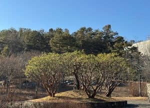 [오늘 날씨] 경기·인천(28일, 토)…맑고 포근한 낮, 일교차 커