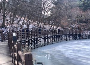 [오늘 날씨] 경기·인천(2일, 월)…흐리고 비·눈, 경기동부 최대 5㎝