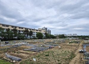구리시, 토평동 ‘도시텃밭’ 신청 접수...친환경 도시농업 확산 기대