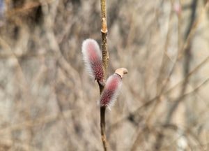 [내일 날씨] 맑고 일교차 15℃ 안팎…5일 늦은 밤 ‘가끔 비’