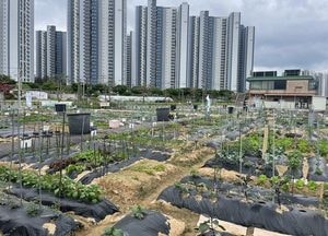 안성시, 도시농업공동체 공공텃밭 분양자 모집...9~15일 신청 접수