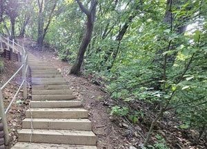 용인특례시 ‘광교산 둘레길 조성 사업’ 올해 상반기 마무리