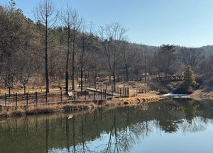 [오늘 날씨] 경기·인천(8일, 일)…맑다가 낮부터 구름 많아져
