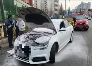 구리 인창동서 수입 승용차 화재…운전자 자체 진화