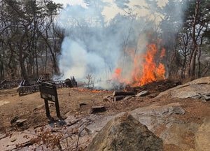 수원 팔달산(공원) 화재…소방당국 진화 중