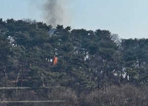 수원 팔달공원 화재…헬기 투입 1시간22분 만에 진화