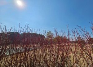 [오늘 날씨] 경기·인천(13일, 금)…대체로 맑고 일교차 커