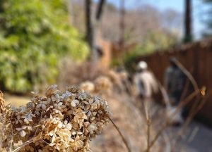 [내일 날씨] 주말 흐리고 일교차 커…경기내륙 15℃ 안팎 벌어져