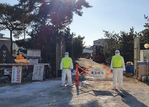 포천 무허가 산란계 농장서 고병원성 AI 확진…지역 다섯 번째 발생