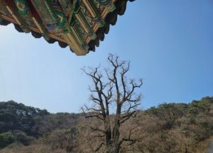 [오늘 날씨] 경기·인천(14일, 토)…흐린 하늘, 낮 최고 14도