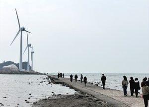 바람 불어도 괜찮아…탄도항 누에섬 향하는 사람들