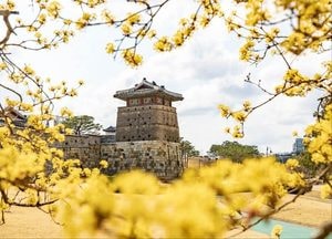 “수원에 봄이 온다”…이재준 시장, 봄꽃 명소 소개
