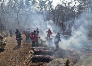 수원특례시, 대형산불 특별대책기간 돌입...산불 가해자 고의·실수 불문 엄정 처벌