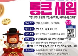 안성시, 20~29일 ‘경기살리기 통큰세일’ 개최...최대 30% 환급 혜택 제공