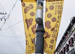 “노란 산수유 꽃길 열린다”…양평 산수유 한우축제 내달 4일 개막