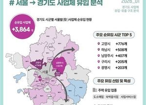 서울 떠난 기업들이 향한 고양시...경기도 내 사업체 순유입 1위