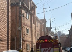 시흥 다가구주택 화재...20대 여성 부상