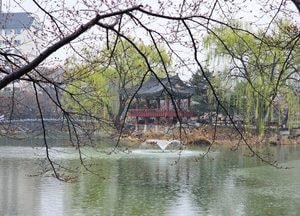 [내일 날씨] 맑고 큰 일교차…건조특보 속 산불 주의