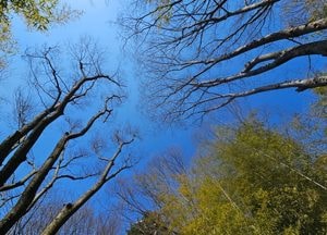 [오늘 날씨] 경기·인천(23일, 월)…낮 최고 20도, 일교차·건조 주의