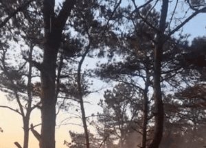 [영상] 시흥 도창동서 창고 작업 중 불…야산 번져 1시간40분 만에 진화