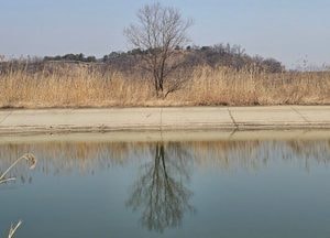 [내일 날씨] 건조특보 속 큰 일교차…서울 17℃·수원 17℃