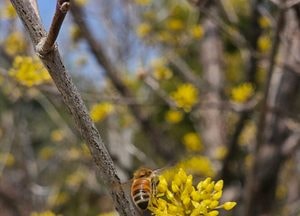 [오늘 날씨] 경기·인천(24일, 화)…대기 매우 건조, 일교차 커