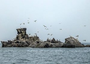 인천 생태관광마을 신규 모집…주민 참여형 관광 모델 확대