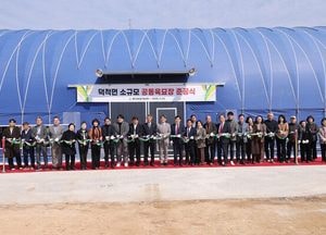 인천 옹진군, 덕적면 504㎡ 공동육묘장 준공…농번기 인력난 해소 기대
