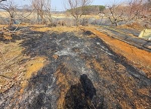 김포 하성면 농작물 소각 중 화재…70대 부상