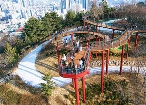 인천 미추홀구, 수봉공원 스카이워크 개장…도심 전망 명소로 부상