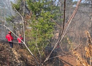 수도권서 산불 잇따라…건조특보 속 하루새 3건 발생