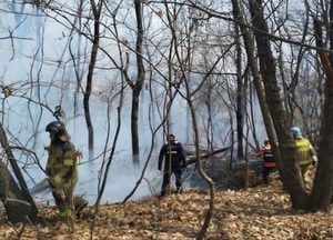 부천 여월동 임야 화재…1시간17분 만에 꺼져