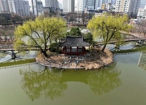 [드본세] 연못 위 정자, 이천 애련정에 번진 봄빛