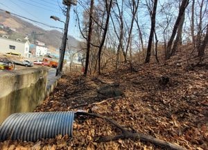 광주 목동 야산서 불…인명피해 없이 15분 만에 진화
